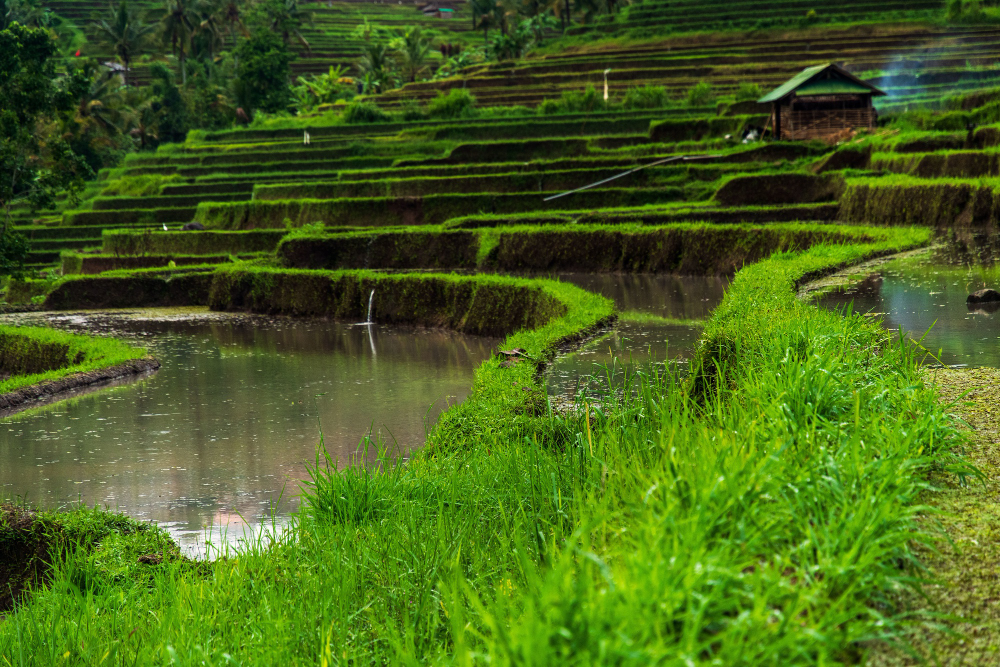 Southeast Asia Is Not a Checklist — Stop Treating It Like One